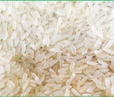 IR64 Rice